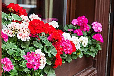 经典作品重制《超级杰克龙三部曲》今秋开放预购